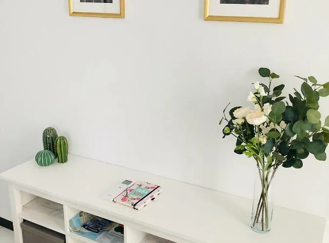 San Francisco קדיז